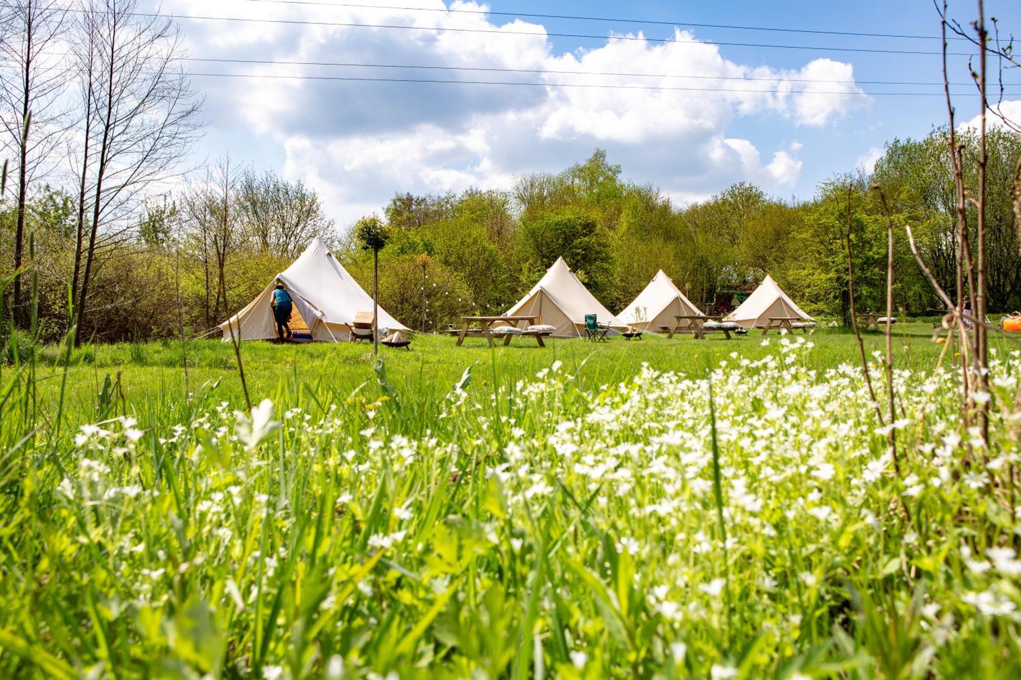Landgut Girtenmuehle Campsite *