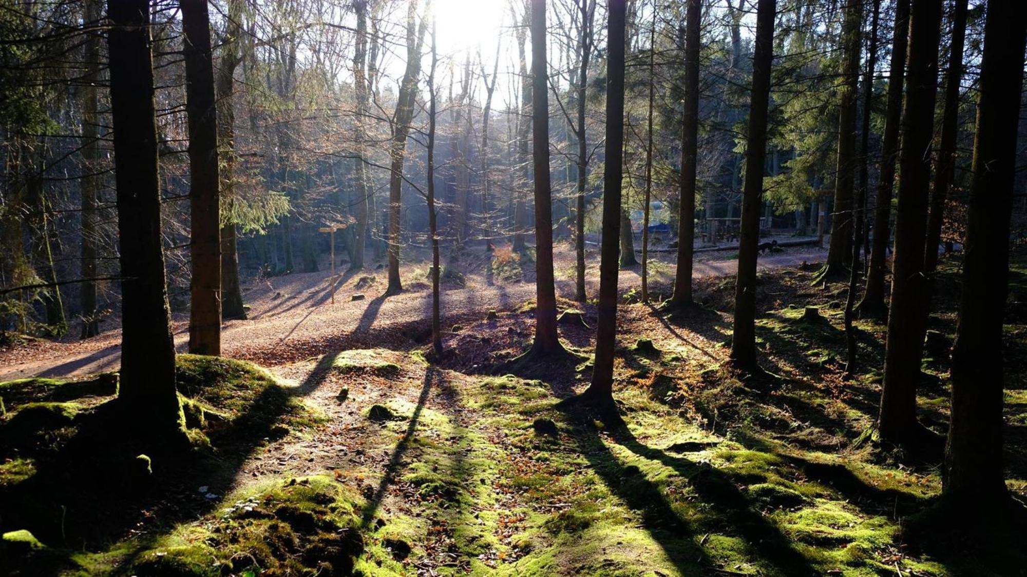 Campsite Landgut Girtenmuehle *